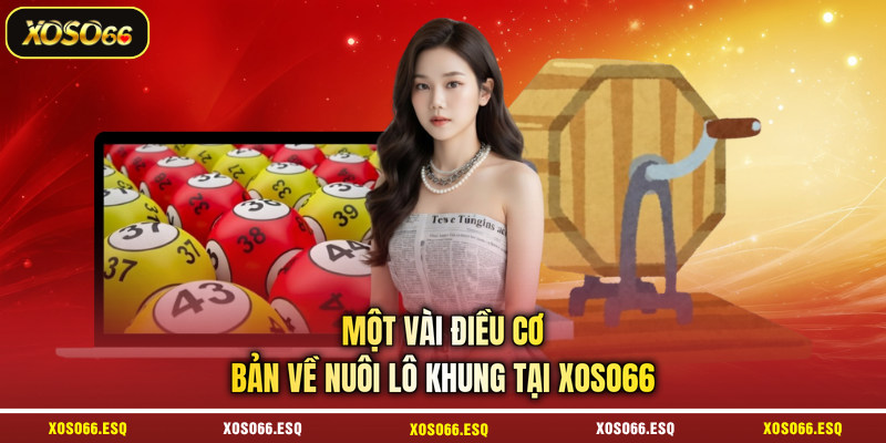 Một vài điều cơ bản về nuôi lô khung tại XOSO66